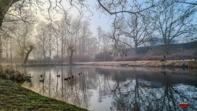 Stadt Bernau, Elysiumteich Bernau, Bernau LIVE
