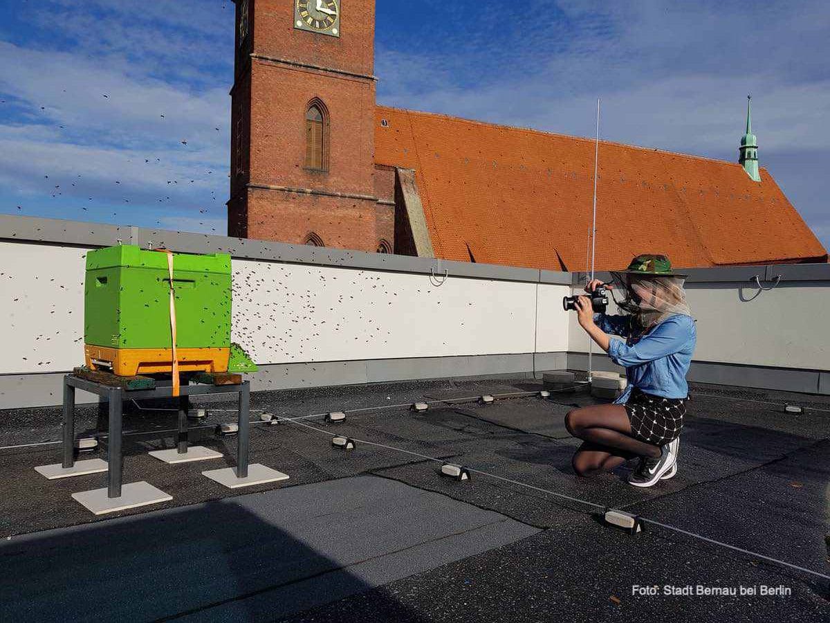 15.000 neue Mitarbeiterinnen für die Stadtverwaltung Bernau 11 Rathaus Bernau, Bernau
