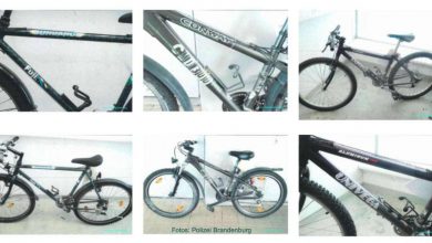 Bernau LIVE - Dein Stadtmagazin für Bernau bei Berlin