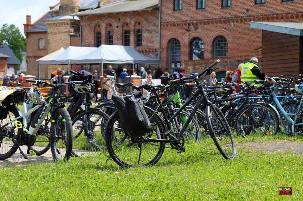 Brandenburger Entdeckertag lockte Radler*innen nach Bernau 6 Bernau LIVE