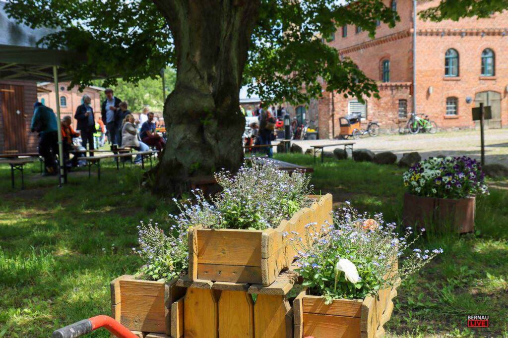 Brandenburger Entdeckertag lockte Radler*innen nach Bernau 15 Gutshof Boernicke Radtour
