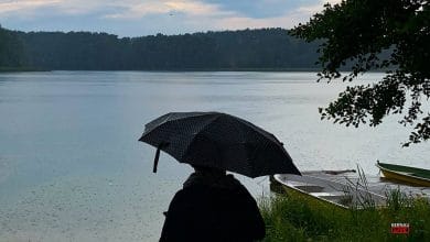 Regen Bernau LIVE See