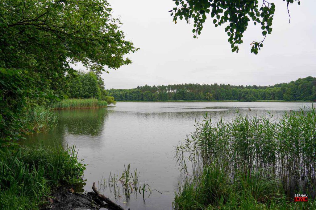 Der Natur zuliebe – Kontrollen am Hellsee und Krumme Lanke 2 Bernau LIVE