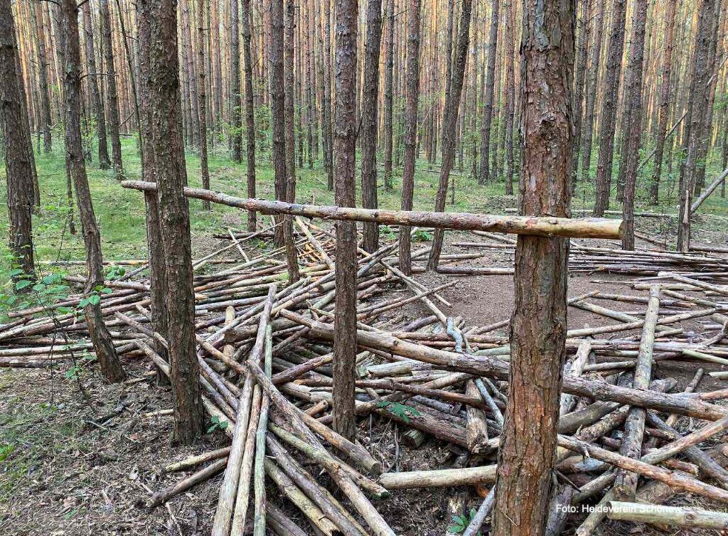 Schönower Heide: Sorge um Müll, Vandalismus, Partys, Massentourismus 22 Bernau LIVE