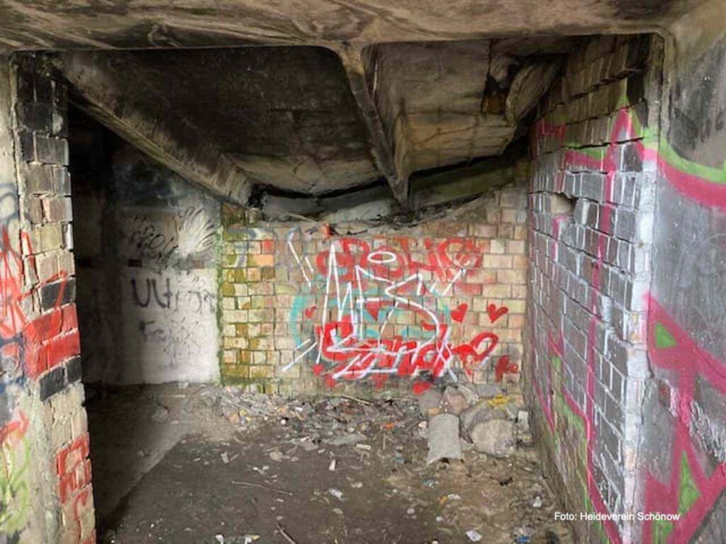 Schönower Heide: Sorge um Müll, Vandalismus, Partys, Massentourismus 15 Bernau LIVE