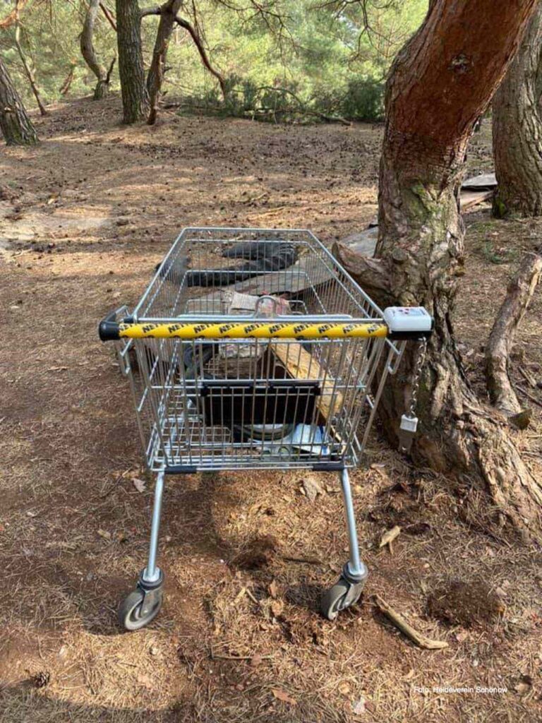 Schönower Heide: Sorge um Müll, Vandalismus, Partys, Massentourismus 17 Bernau LIVE