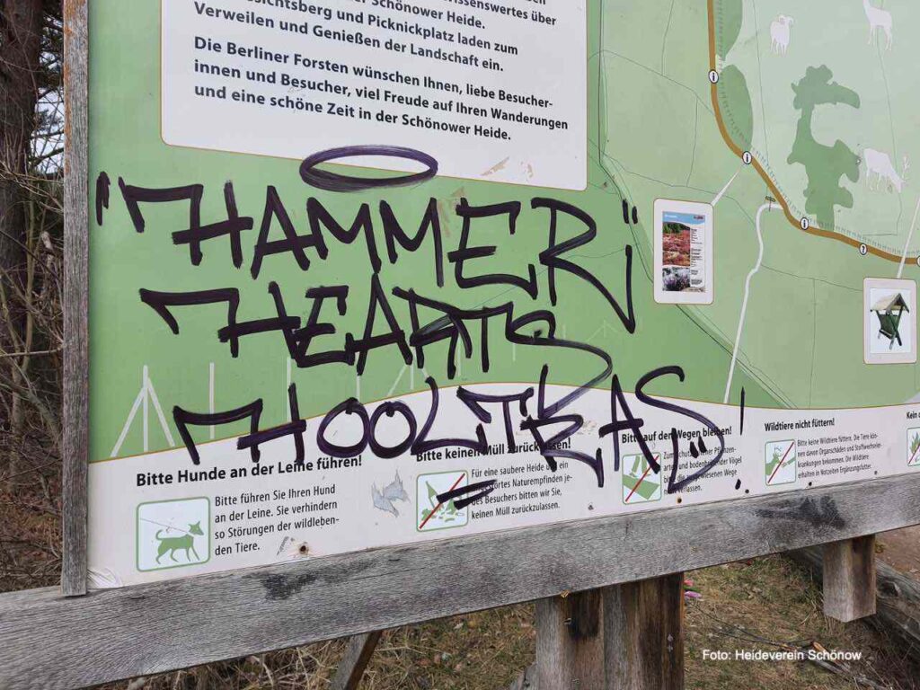 Schönower Heide: Sorge um Müll, Vandalismus, Partys, Massentourismus 19 Bernau LIVE