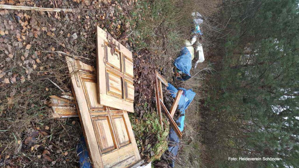 Schönower Heide: Sorge um Müll, Vandalismus, Partys, Massentourismus 11 Bernau LIVE