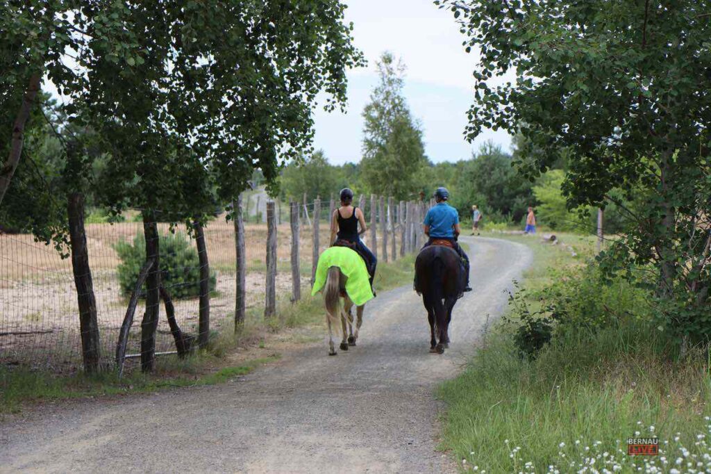 Schönower Heide: Sorge um Müll, Vandalismus, Partys, Massentourismus 2 Schoenower heide
