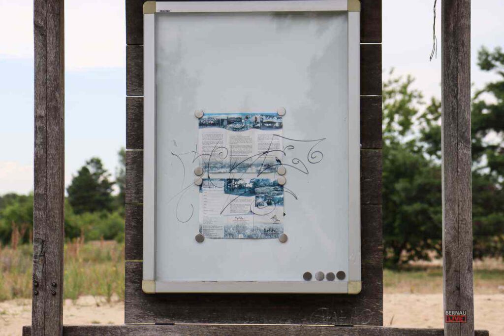 Schönower Heide: Sorge um Müll, Vandalismus, Partys, Massentourismus 3 Bernau LIVE