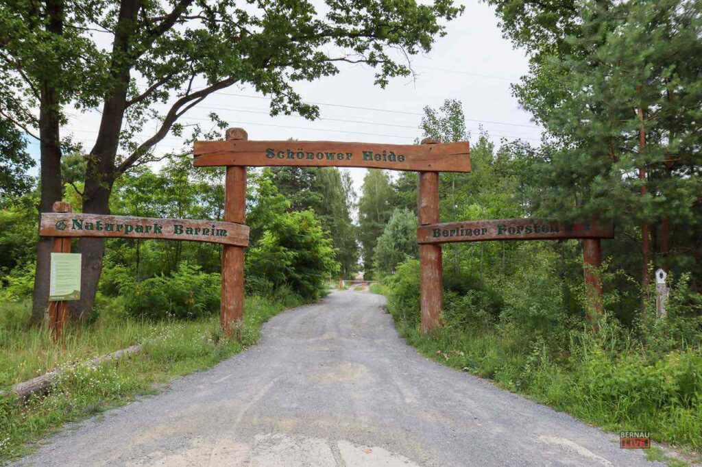 Schönower Heide: Sorge um Müll, Vandalismus, Partys, Massentourismus 9 Bernau LIVE