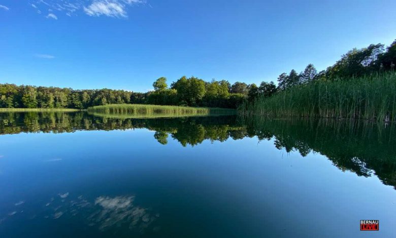 Bernau, Wasser, Sommer, See, Bernau LIVE