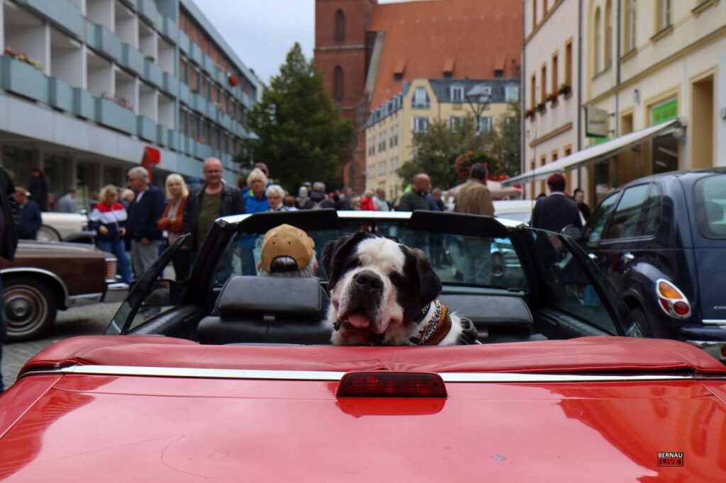 Großer Andrang beim US-Car- & Oldtimer-Treffen in Bernau 13 Bernau LIVE