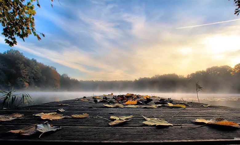 Bernau LIVE - Dein Stadtmagazin für Bernau bei Berlin
