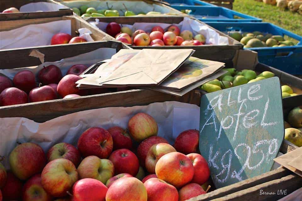 Obst- und Pflanzentag der Hoffnungstaler Werkstätten in Biesenthal 20 Bernau LIVE