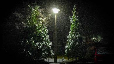 Winter Schnee Bernau