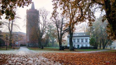 Stadtpark Bernau Herbst November