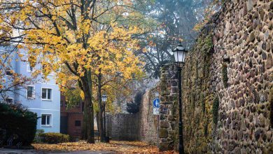 Herbst Stadtmauer Bernau Nov