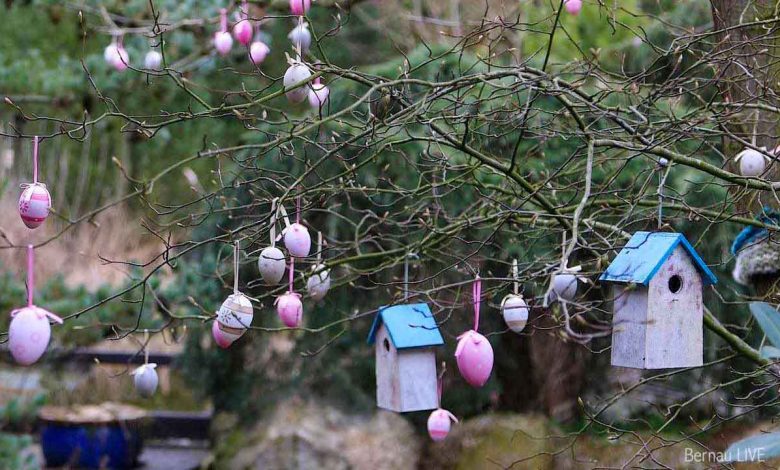Bernau LIVE - Dein Stadtmagazin für Bernau bei Berlin