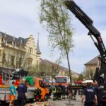 Bernau hat nun (wieder) seinen eigenen Maibaum 12 Bernau LIVE