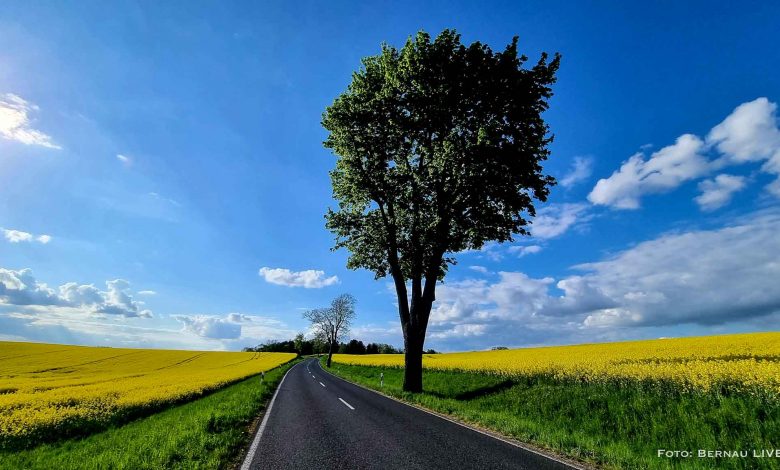 Bernau LIVE - Dein Stadtmagazin für Bernau bei Berlin