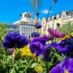 Spielbericht zum grandiosen LOK Bernau - Abend am Samstag 11 Bernau LIVE