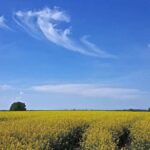 Spielbericht zum grandiosen LOK Bernau - Abend am Samstag 3 Bernau LIVE