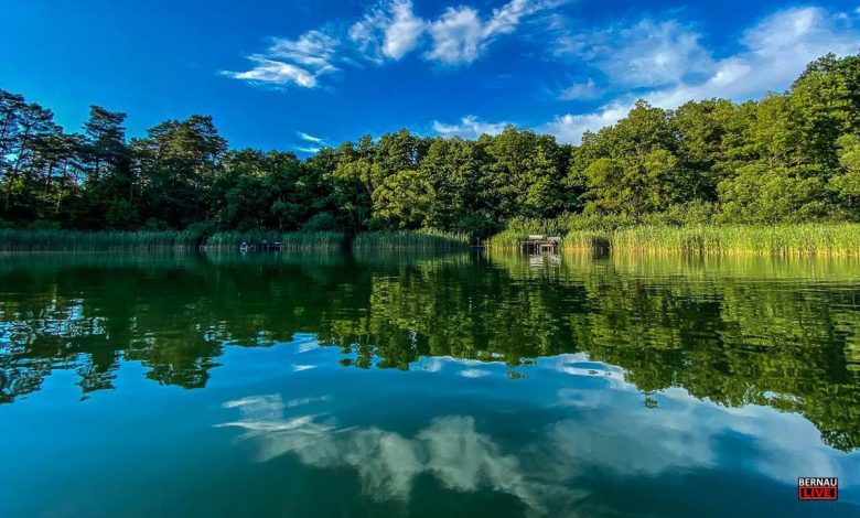 Bernau LIVE - Dein Stadtmagazin für Bernau bei Berlin