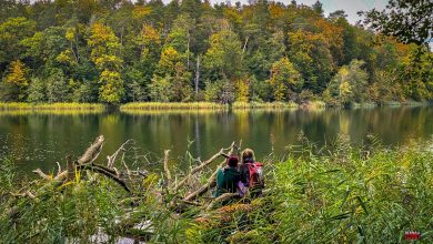Veranstaltungen Bernau Barnim