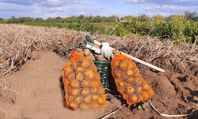 Bernau LIVE - Dein Stadtmagazin für Bernau bei Berlin