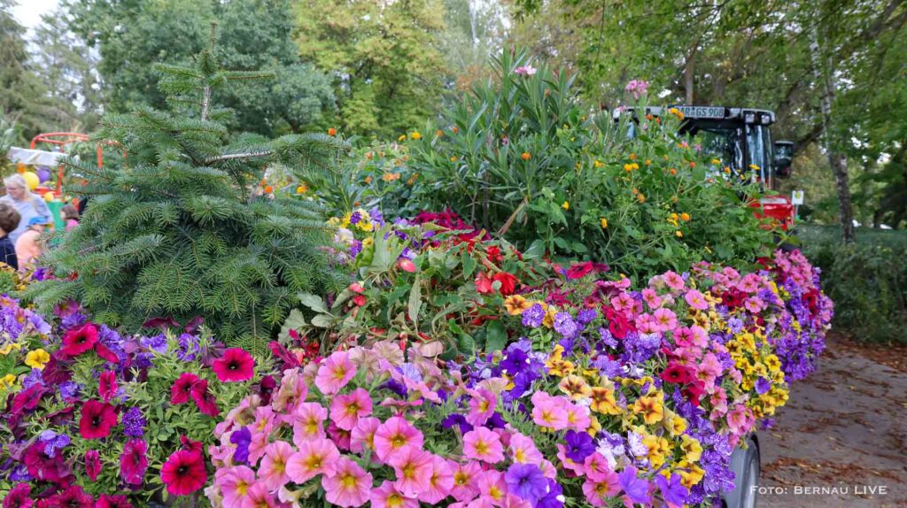 Grüntal feierte sein diesjähriges Erntefest mit wunderschönem Umzug 15 Bernau LIVE