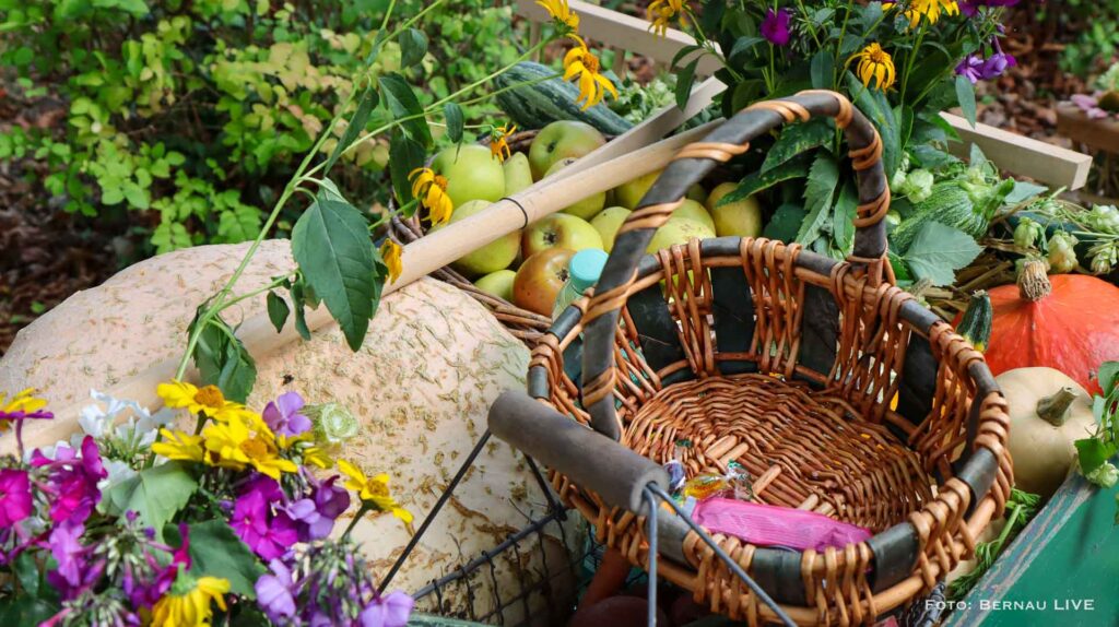 Grüntal feierte sein diesjähriges Erntefest mit wunderschönem Umzug 10 Bernau LIVE