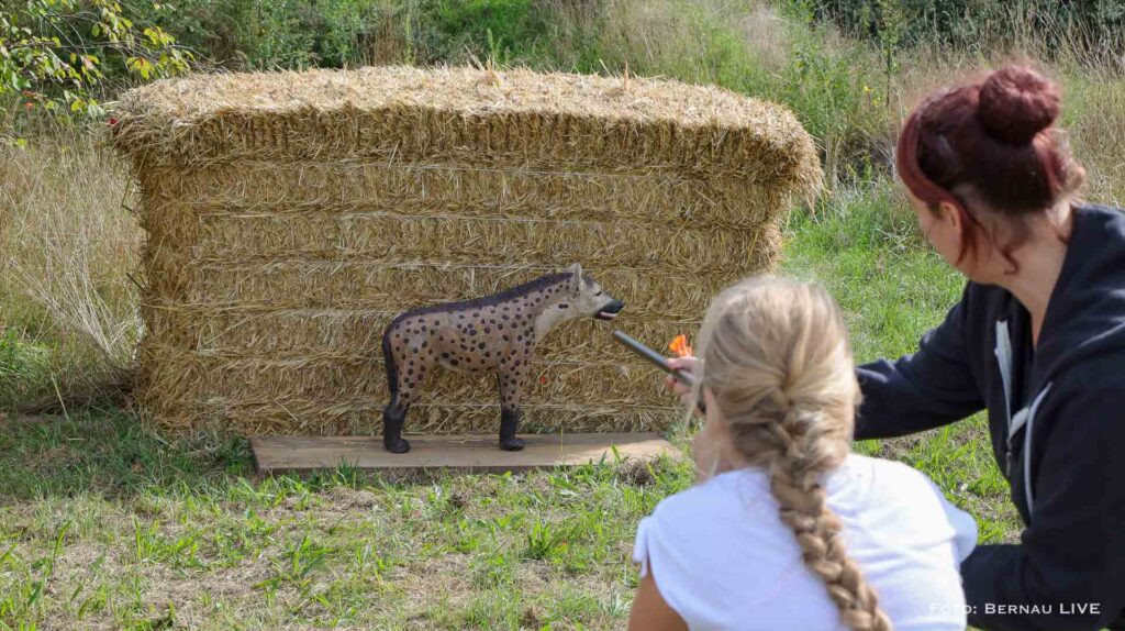 Grüntal feierte sein diesjähriges Erntefest mit wunderschönem Umzug 6 Bernau LIVE