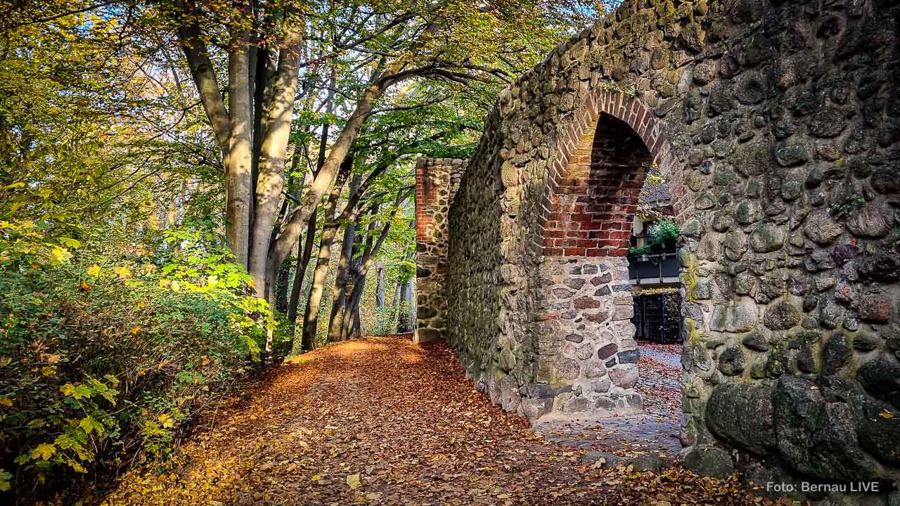 Stadtmauer Bernau im Herbst