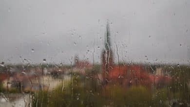 Guten Morgen aus Bernau und willkommen in der neuen Woche