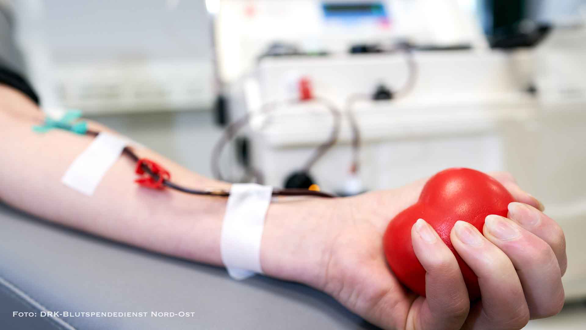 Knappe Blutreserven - Aufruf zum Blutspenden in Brandenburg