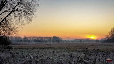 Guten Morgen aus Bernau und einen guten Donnerstag