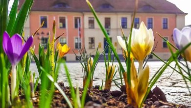 Frühlingsanfang - Guten Morgen aus Bernau und ne schöne Woche