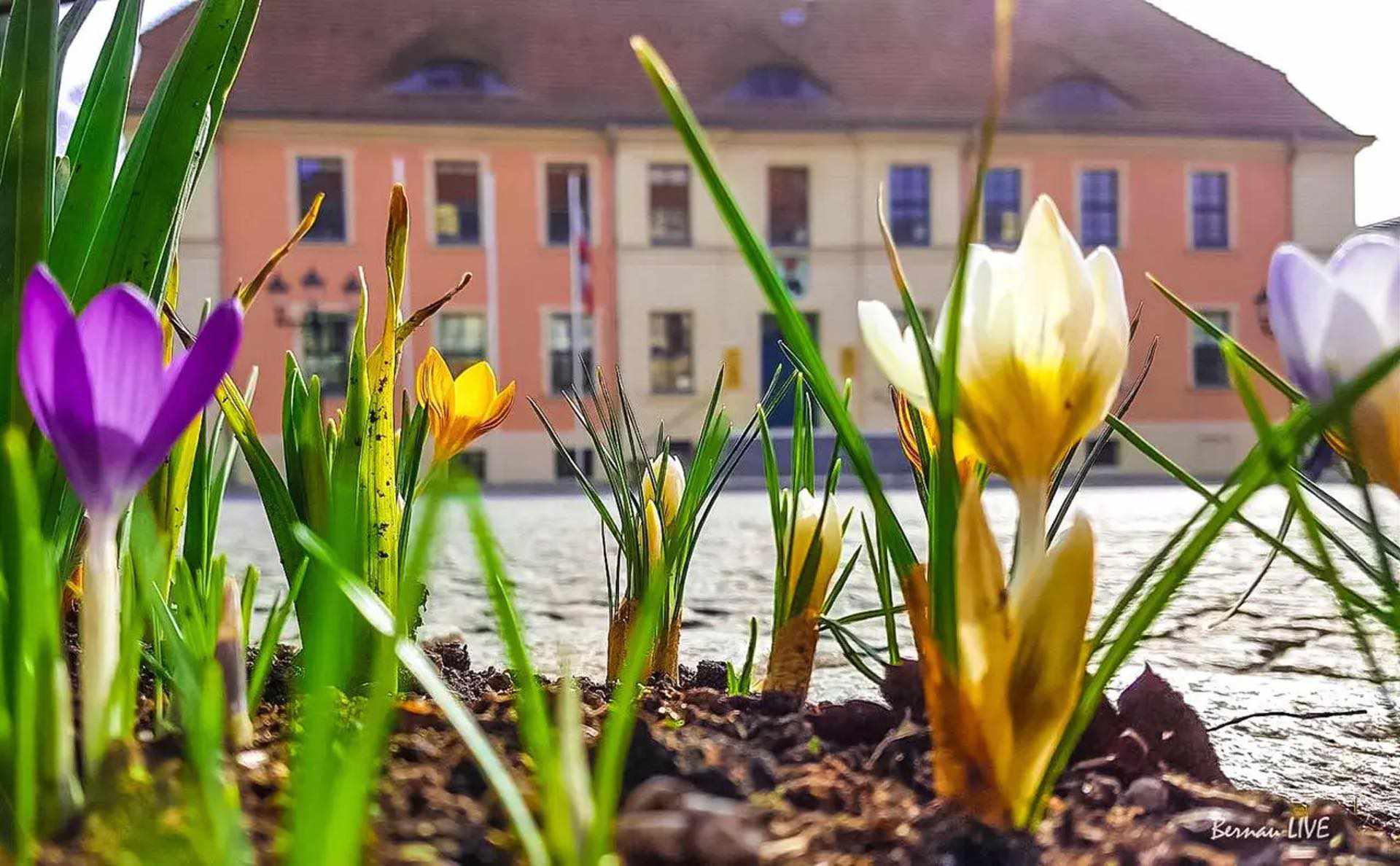 Frühlingsanfang - Guten Morgen aus Bernau und ne schöne Woche