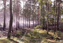 Vorsicht! Waldbrandgefahrenstufe 5 im Landkreis Barnim