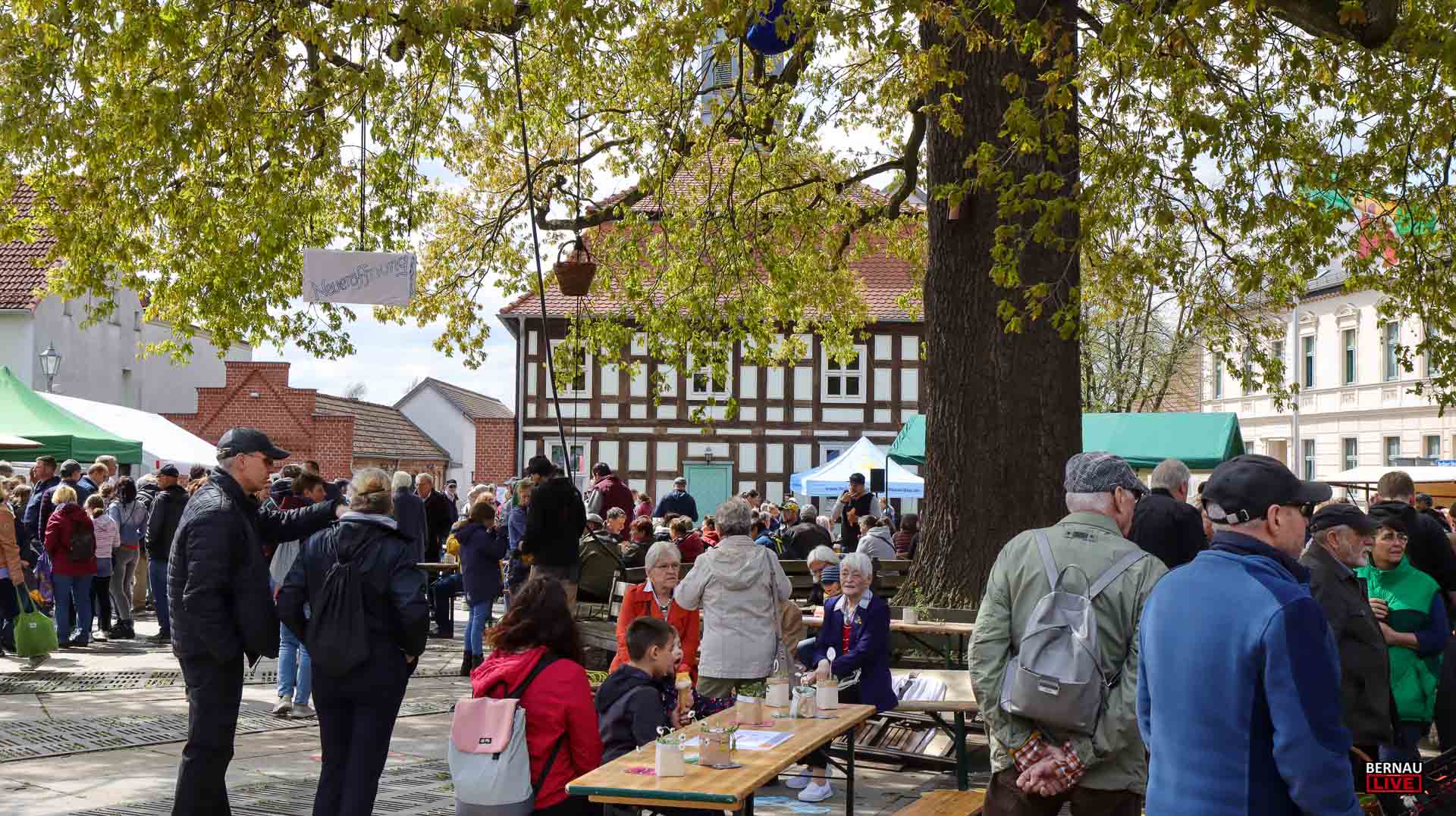Regionalmarkt Biesenthal - ein toller Sonntag in der Naturparkstadt