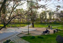 Baumpflegearbeiten und Einschränkungen im Bernauer Stadtpark