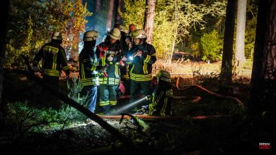 Feuerwehr löscht Waldbrand zwischen Zühlsdorf und Wandlitz