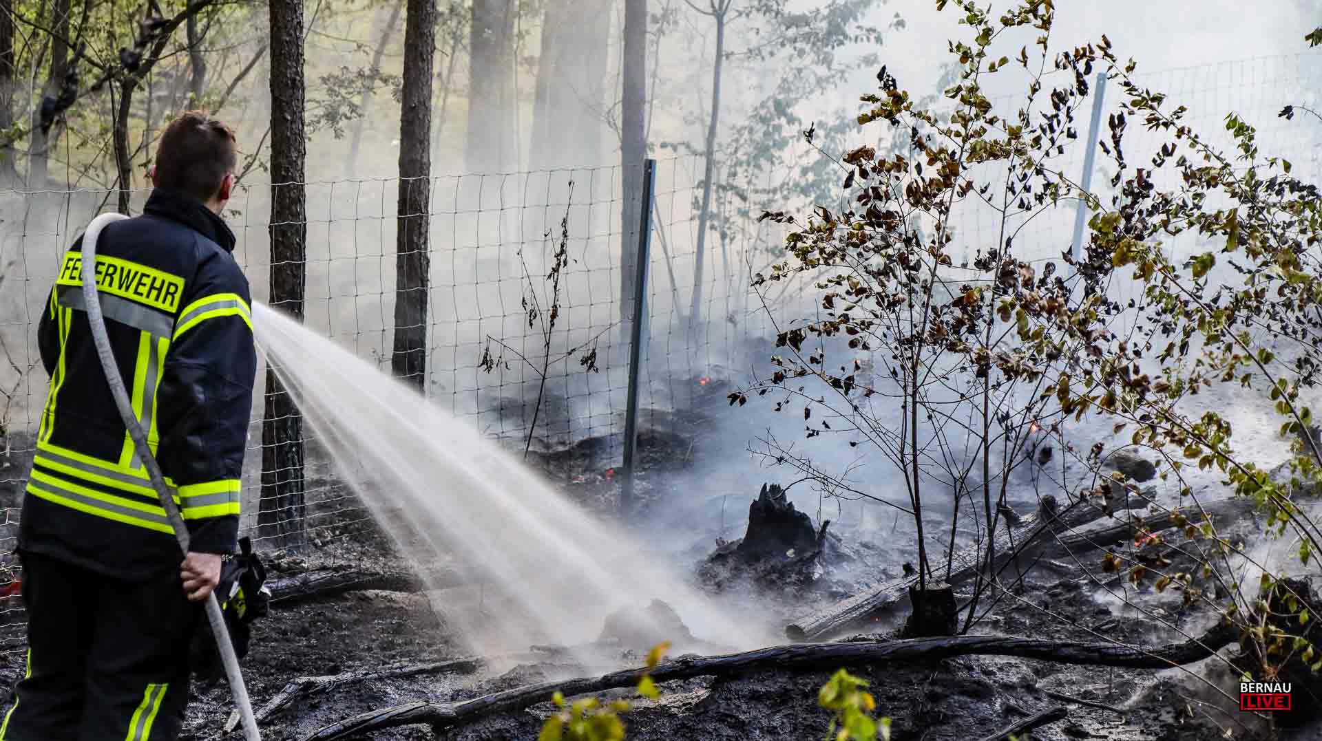 Erneut kam es zu Waldbränden im Landkreis Barnim