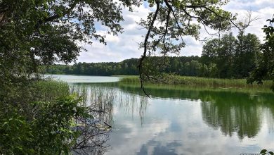 Willkommen in der Wochenmitte und guten Morgen aus Bernau
