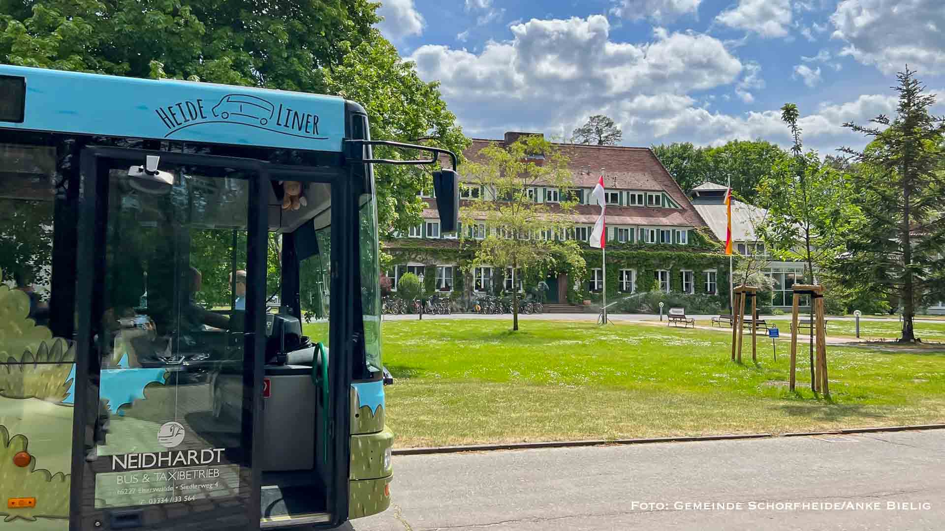 Schorfheide: Touristenbus „HeideLiner“ verkehrt wieder täglich