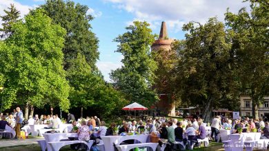 Dinner-Picknick im Stadtpark Bernau: Infos, Programm, reservierte Plätze