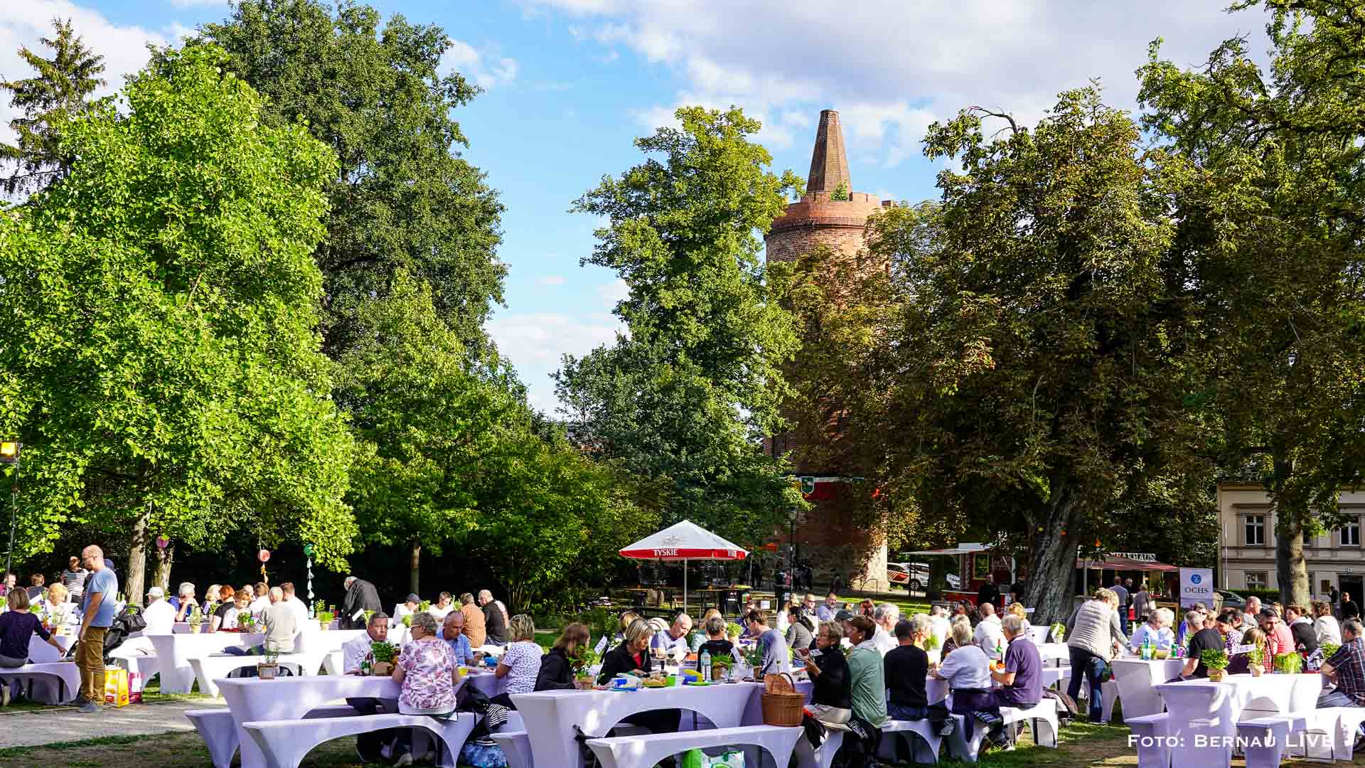 Dinner-Picknick im Stadtpark Bernau: Infos, Programm, reservierte Plätze