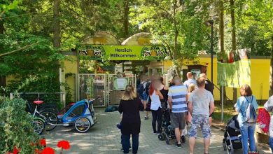Zoofest für den Artenschutz im Zoo Eberswalde am 05. August
