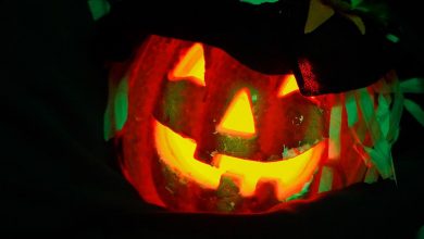 Von Hexen, Henkern und Vampiren in Bernau - Tipps zu Halloween